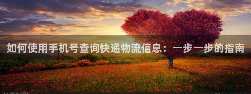 28圈加拿大app预测：如何使用手机