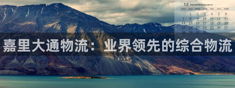 28圈注册号：嘉里大通物流：业界领先