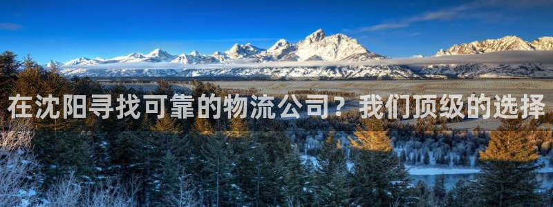 28圈加拿大是什么：在沈阳寻找可靠的