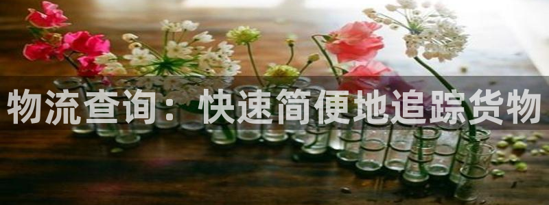 28圈软件总是闪退怎么回事