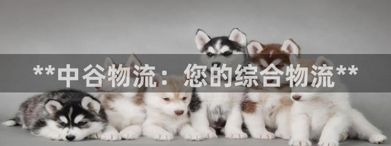 28圈开奖预测：**中谷物流：您的综