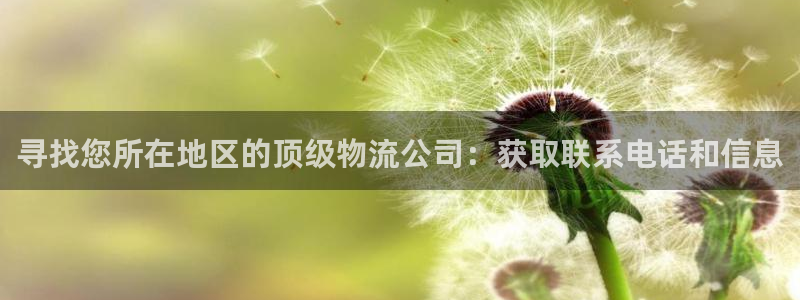 28圈模拟器下载