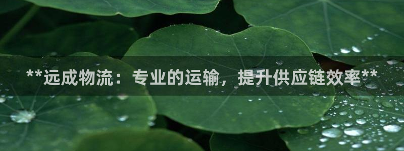 28圈玩法：**远成物流：专业的运输