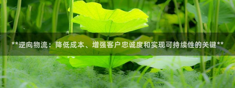 28圈注册网址：**逆向物流：降低成