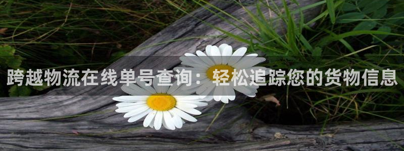 28圈加拿大走势