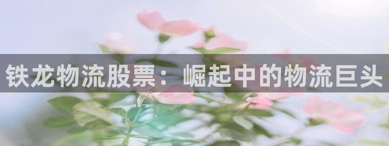 28圈体育下载：铁龙物流股票：崛起中
