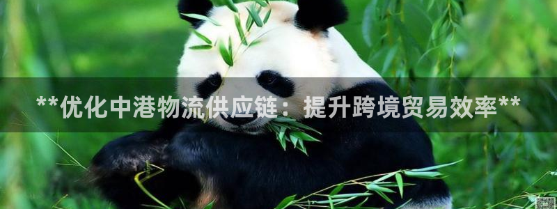 28圈娱乐官网网页下载：**优化中港