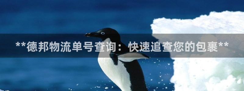 28圈辅助：**德邦物流单号查询：快