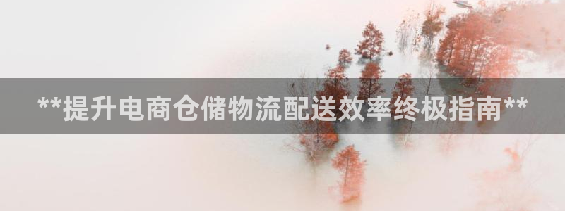 28圈返水怎么算的：**提升电商仓储
