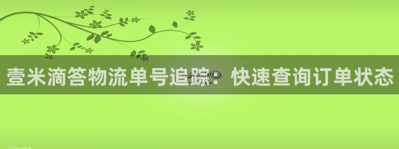 28圈网站平台