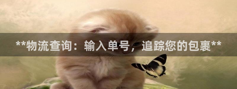 28圈能赢钱吗