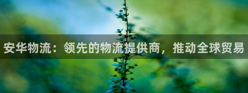 自行车28圈是什么意思