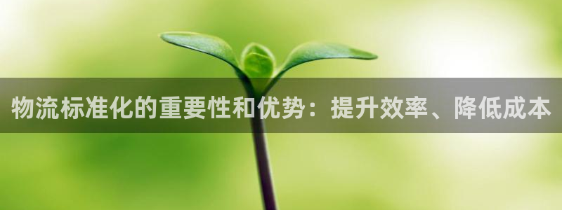 28圈是南宫旗下的吗：物流标准化的重