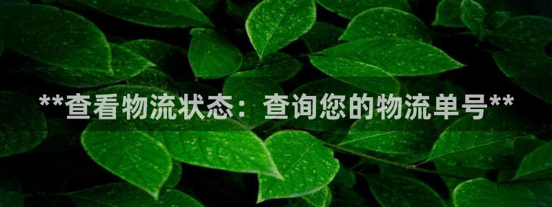 28圈模拟器在线玩