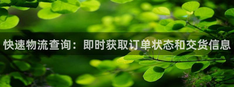 28圈自行车图片