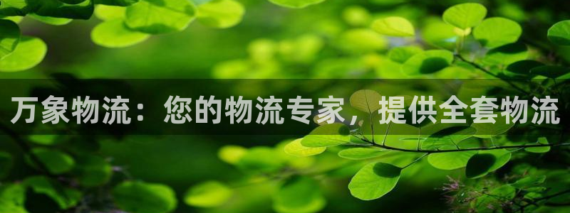 28圈怎么下载