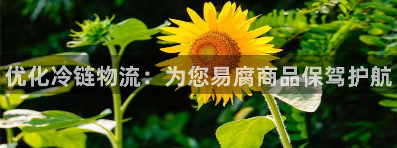 28圈违法吗