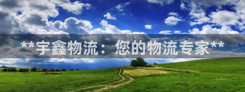28圈登录不上咋回事：**宇鑫物流：