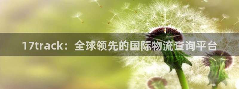 28圈注册二维码：17track：全