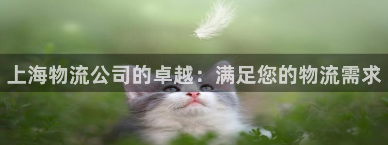 28圈链接是什么