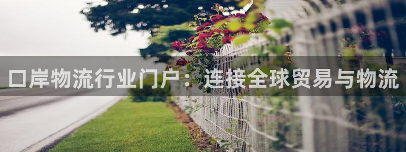 28圈登录流程：口岸物流行业门户：连