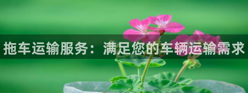 28圈登录网：拖车运输服务：满足您的