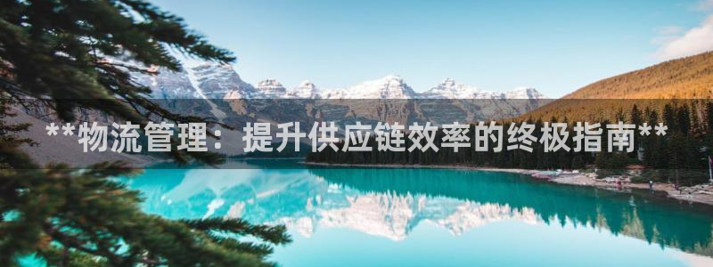 28圈充值方式：**物流管理：提升供
