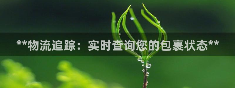 28圈注册链接入口：**物流追踪：实