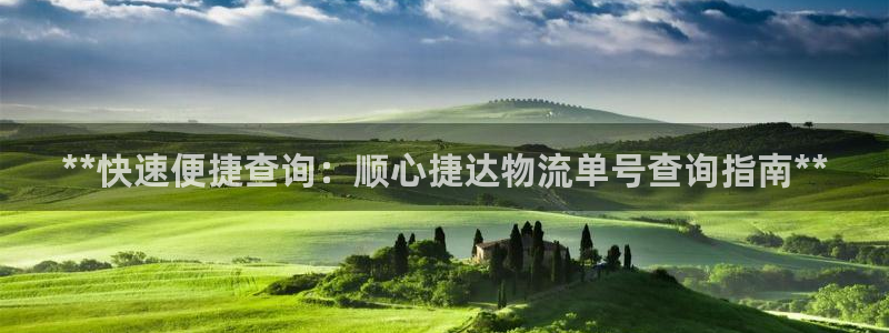 28圈分分28输了能不能退：**快速