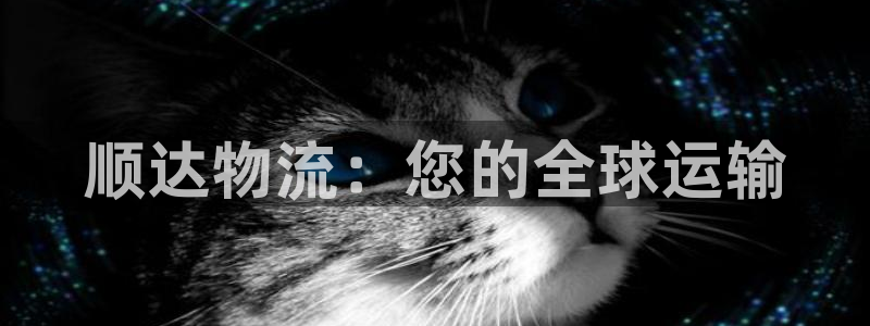 28圈官网预测：顺达物流：您的全球运