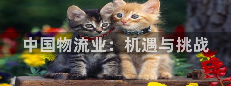 28圈怎么注册游戏名字：中国物流业：