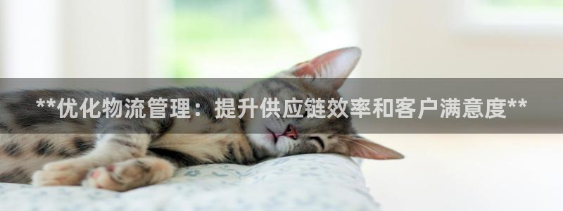 28圈代理落网