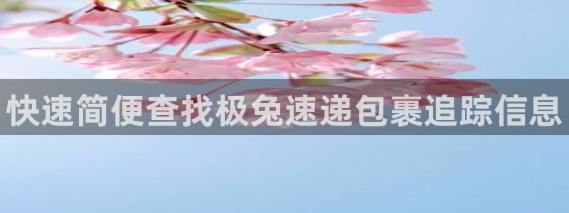 28圈在线预测官网