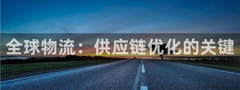 28圈注册网站谁有：全球物流：供应链