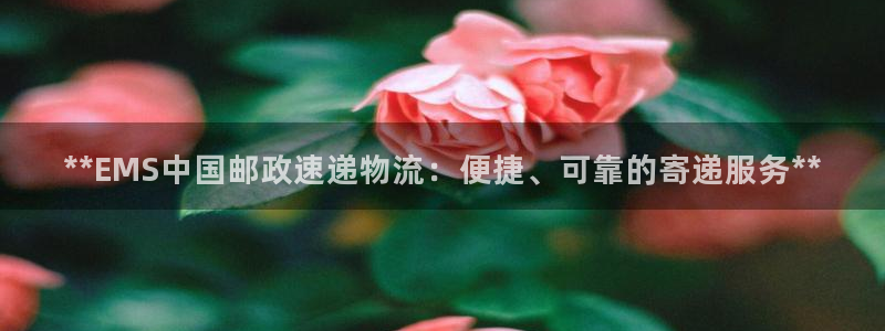 28圈电子