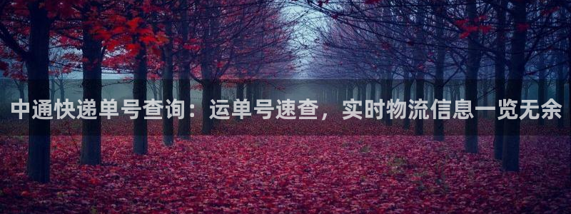 28圈里的财神
