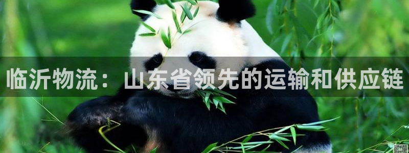 28圈app能退款吗：临沂物流：山东
