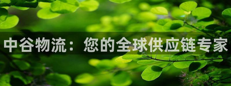 28圈犯法吗