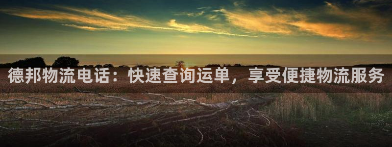 28圈稳吗：德邦物流电话：快速查询运