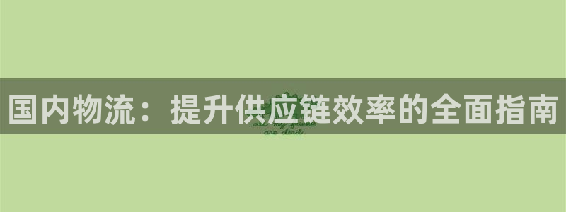 28圈官网版下载：国内物流：提升供应