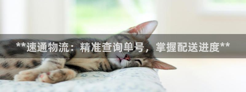 28圈p扣除是什么意思：**速通物流