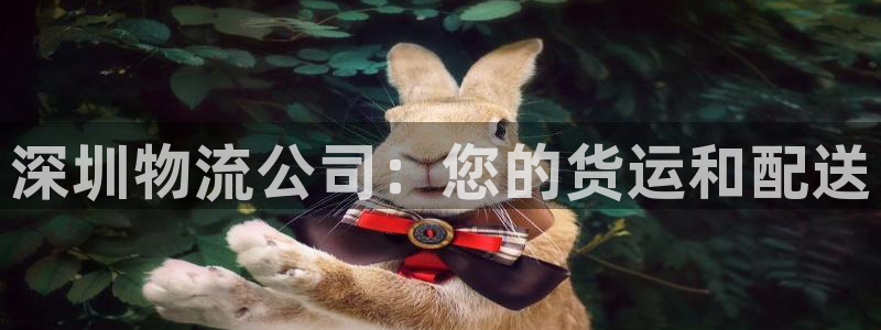 28圈充值方式