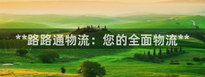 28圈代理落网