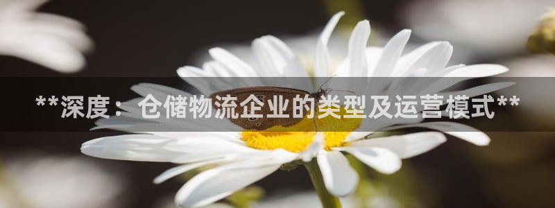 28圈反水