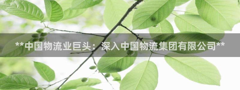 28圈登录流程：**中国物流业巨头：