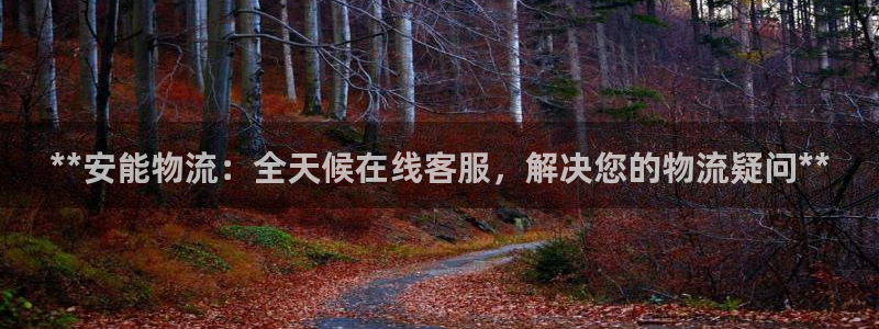 28圈退款：**安能物流：全天候在线