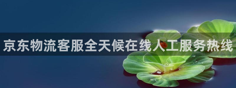 28圈赌博软件正规吗：京东物流客服全