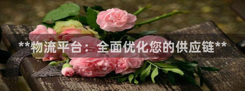 加拿大28圈注册链接：**物流平台：