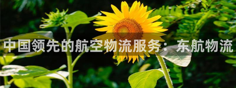 28圈现在狂杀