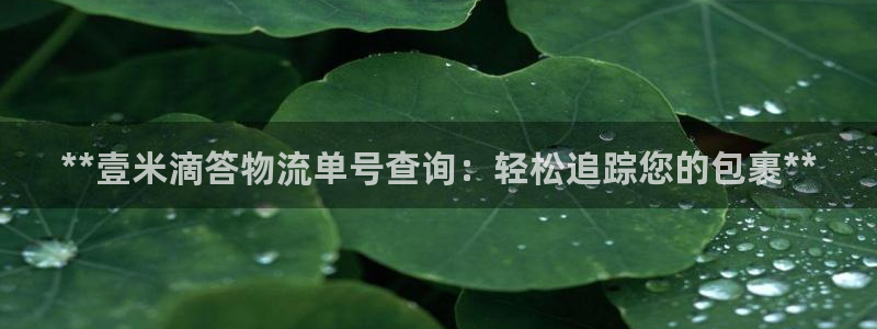 28圈怎么下载不了